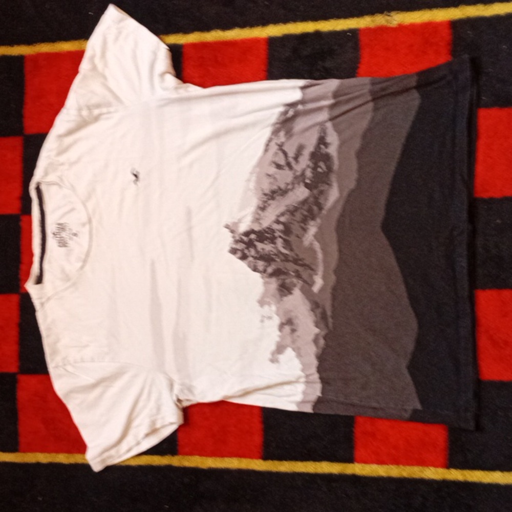 Hollister Mountain Graphic Shirt